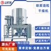 造粒噴霧干燥機(jī) 噴霧干燥設(shè)備