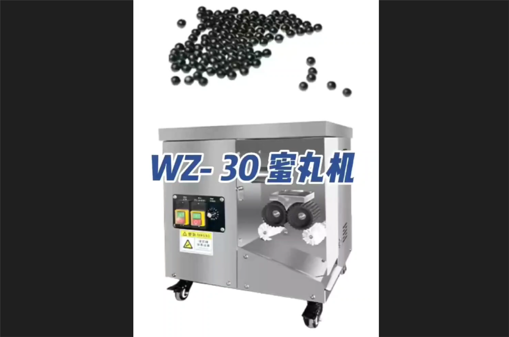 全自動(dòng)制丸機(jī)