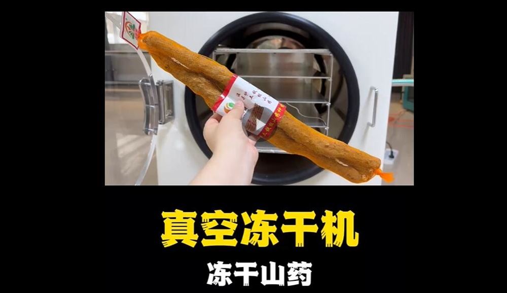 真空凍干機凍干山藥