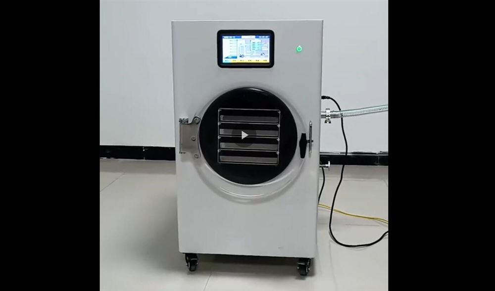 HFD-4家用型凍干機