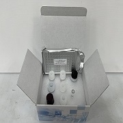 Elisa實(shí)驗(yàn)：Elisa洗板步驟