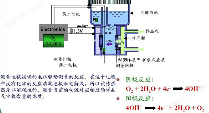 電化學(xué)氧含量分析儀（加氫釜氧化釜專用）