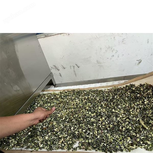 黨參烘干機設備 隧道式微波烘干設備圖片