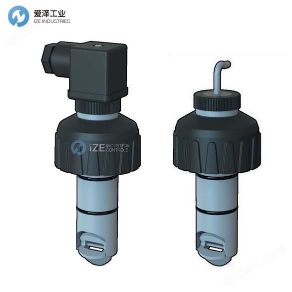 FIP轉(zhuǎn)子流量計F3.00.P.06